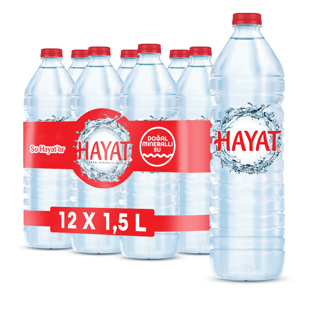 1,5 LT Hayat Su 12'li