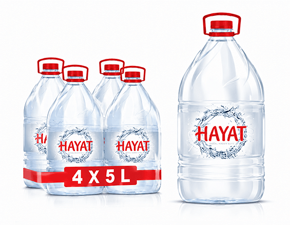 HAYAT 5 LT PET 4LÜ KOLİ
